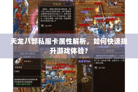 天龙八部私服卡属性解析，如何快速提升游戏体验？