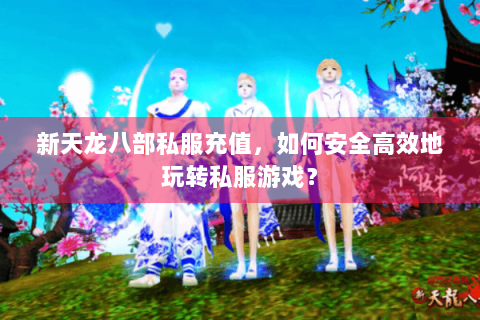 新天龙八部私服充值，如何安全高效地玩转私服游戏？