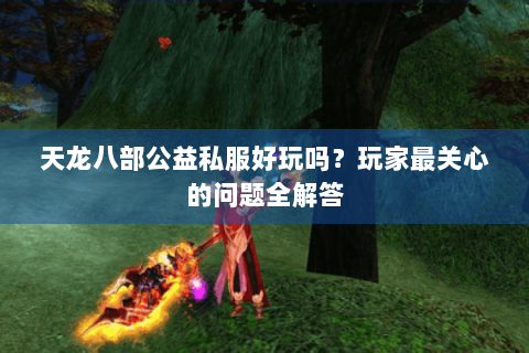 天龙八部公益私服好玩吗?玩家最关心的问题全解答 天龙八部公益私服好玩吗?玩家最关心的问题全解答