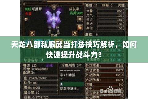 天龙八部私服武当打法技巧解析,如何快速提升战斗力? 天龙八部私服武当打法技巧解析,如何快速提升战斗力?