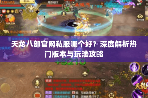 天龙八部官网私服哪个好？深度解析热门版本与玩法攻略