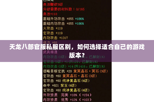 天龙八部官服私服区别，如何选择适合自己的游戏版本？