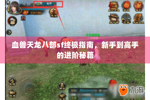 血兽天龙八部sf终极指南，新手到高手的进阶秘籍