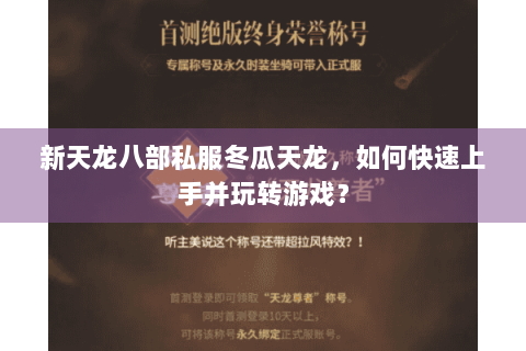 新天龙八部私服冬瓜天龙，如何快速上手并玩转游戏？
