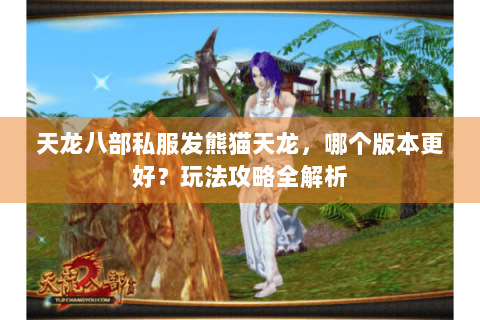 天龙八部私服发熊猫天龙，哪个版本更好？玩法攻略全解析