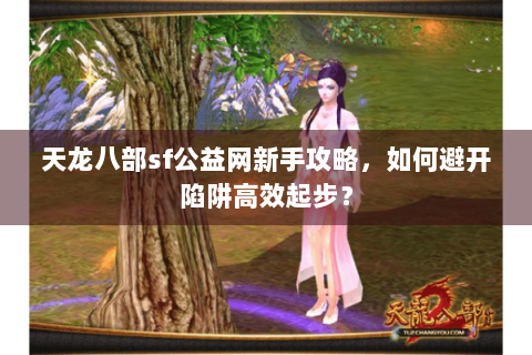 天龙八部sf公益网新手攻略,如何避开陷阱高效起步? 天龙八部sf公益网新手攻略,如何避开陷阱高效起步?
