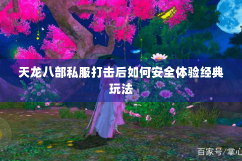 天龙八部私服打击后如何安全体验经典玩法 天龙八部私服打击后如何安全体验经典玩法