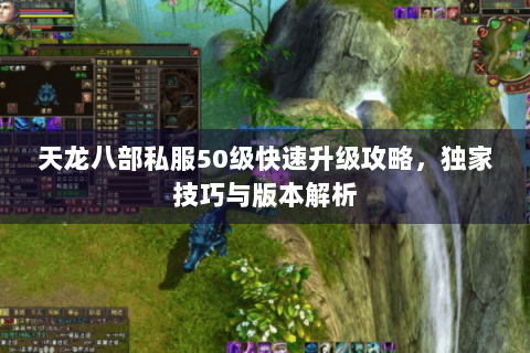 天龙八部私服50级快速升级攻略，独家技巧与版本解析