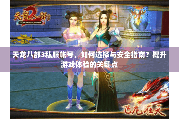 天龙八部3私服帐号，如何选择与安全指南？提升游戏体验的关键点