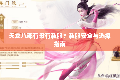 天龙八部有没有私服?私服安全与选择指南 天龙八部有没有私服?私服安全与选择指南