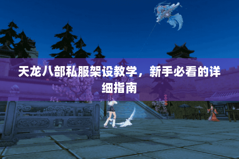 天龙八部私服架设教学,新手必看的详细指南 天龙八部私服架设教学,新手必看的详细指南