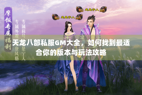 天龙八部私服GM大全，如何找到最适合你的版本与玩法攻略