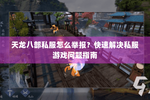 天龙八部私服怎么举报？快速解决私服游戏问题指南