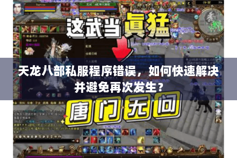 天龙八部私服程序错误，如何快速解决并避免再次发生？