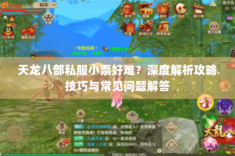 天龙八部私服小票好难？深度解析攻略技巧与常见问题解答