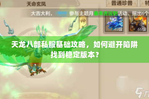天龙八部私服基础攻略，如何避开陷阱找到稳定版本？