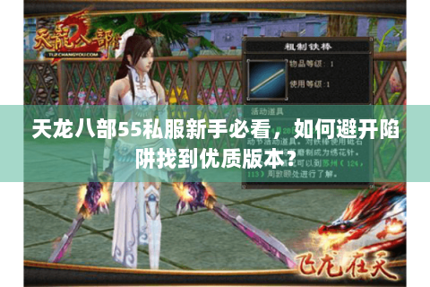 天龙八部55私服新手必看，如何避开陷阱找到优质版本？