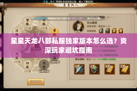星星天龙八部私服独家版本怎么选?资深玩家避坑指南 星星天龙八部私服独家版本怎么选?资深玩家避坑指南