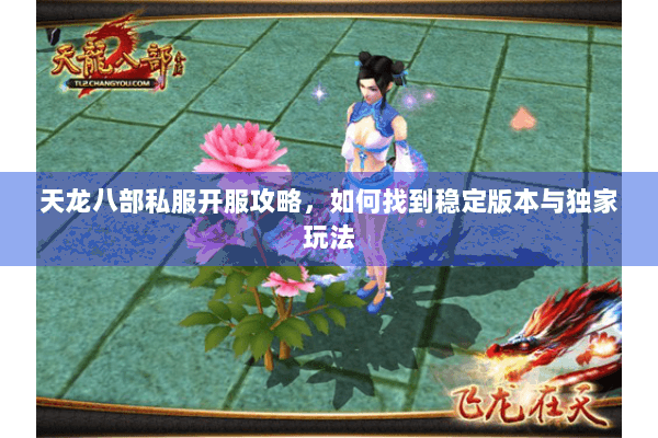 天龙八部私服开服攻略，如何找到稳定版本与独家玩法