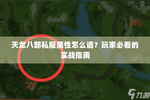 天龙八部私服属性怎么调？玩家必看的实战指南