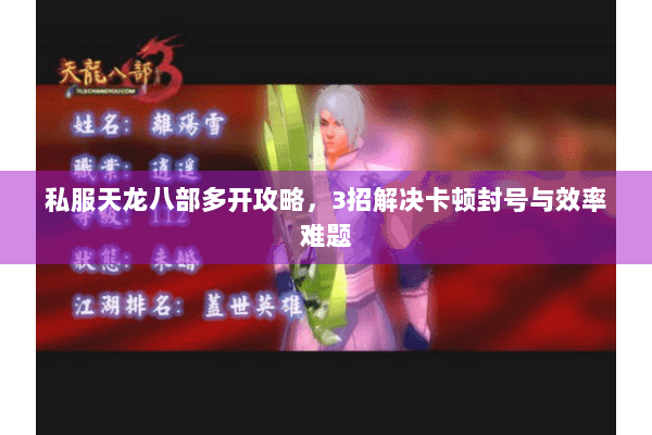 私服天龙八部多开攻略,3招解决卡顿封号与效率难题 私服天龙八部多开攻略,3招解决卡顿封号与效率难题