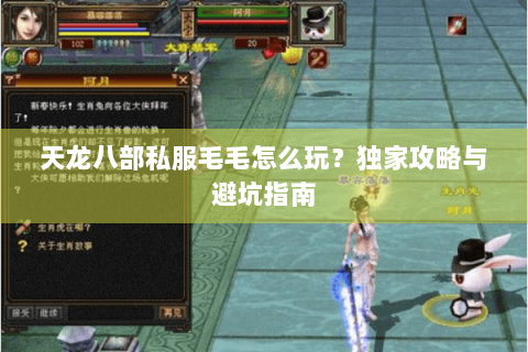 天龙八部私服毛毛怎么玩？独家攻略与避坑指南