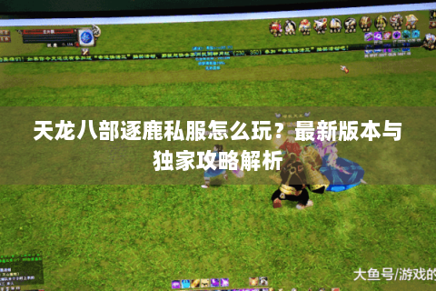 天龙八部逐鹿私服怎么玩?最新版本与独家攻略解析 天龙八部逐鹿私服怎么玩?最新版本与独家攻略解析
