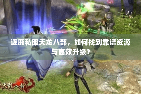 逐鹿私服天龙八部,如何找到靠谱资源与高效升级? 逐鹿私服天龙八部,如何找到靠谱资源与高效升级?