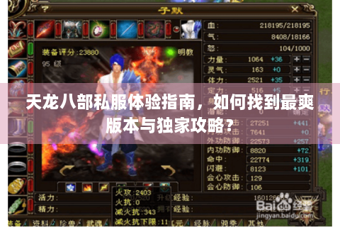天龙八部私服体验指南，如何找到最爽版本与独家攻略？