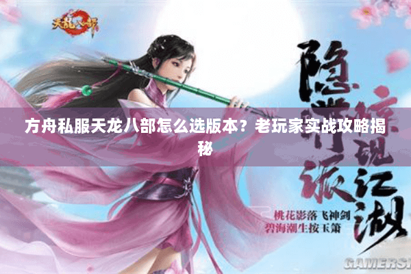 方舟私服天龙八部怎么选版本?老玩家实战攻略揭秘 方舟私服天龙八部怎么选版本?老玩家实战攻略揭秘