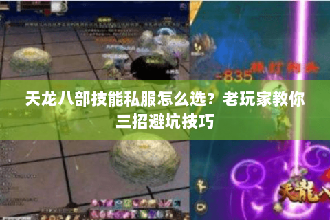 天龙八部技能私服怎么选?老玩家教你三招避坑技巧 天龙八部技能私服怎么选?老玩家教你三招避坑技巧