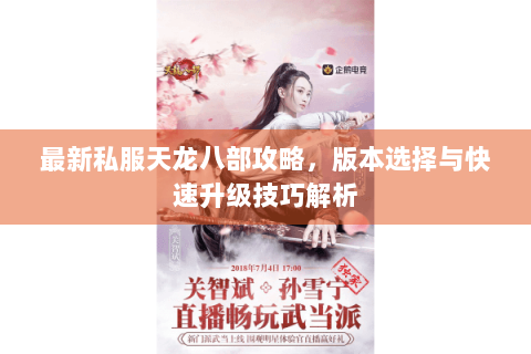 最新私服天龙八部攻略，版本选择与快速升级技巧解析