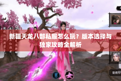 新疆天龙八部私服怎么玩?版本选择与独家攻略全解析 新疆天龙八部私服怎么玩?版本选择与独家攻略全解析