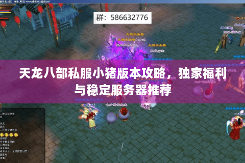 天龙八部私服小猪版本攻略，独家福利与稳定服务器推荐