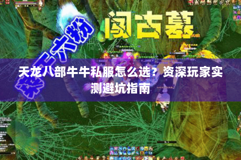 天龙八部牛牛私服怎么选?资深玩家实测避坑指南 天龙八部牛牛私服怎么选?资深玩家实测避坑指南