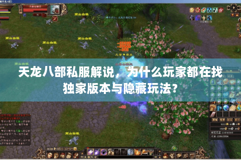天龙八部私服解说，为什么玩家都在找独家版本与隐藏玩法？