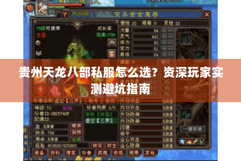 贵州天龙八部私服怎么选？资深玩家实测避坑指南