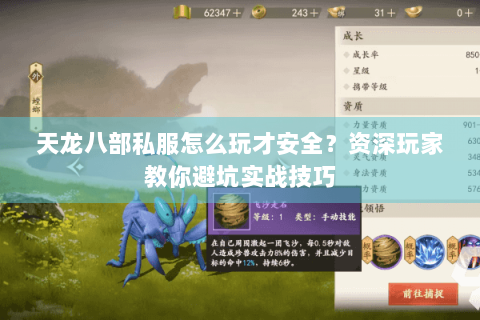 天龙八部私服怎么玩才安全？资深玩家教你避坑实战技巧