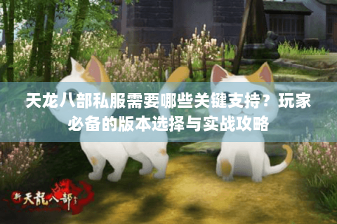 天龙八部私服需要哪些关键支持?玩家必备的版本选择与实战攻略 天龙八部私服需要哪些关键支持?玩家必备的版本选择与实战攻略