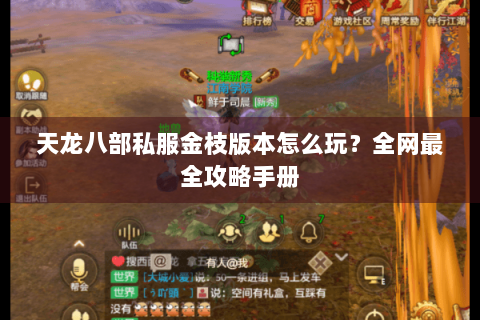 天龙八部私服金枝版本怎么玩?全网最全攻略手册 天龙八部私服金枝版本怎么玩?全网最全攻略手册