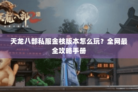 天龙八部私服金枝版本怎么玩?全网最全攻略手册 天龙八部私服金枝版本怎么玩?全网最全攻略手册