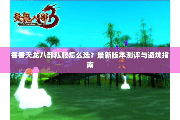 香香天龙八部私服怎么选？最新版本测评与避坑指南