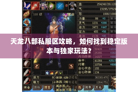 天龙八部私服区攻略，如何找到稳定版本与独家玩法？