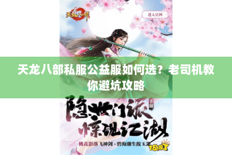 天龙八部私服公益服如何选?老司机教你避坑攻略 天龙八部私服公益服如何选?老司机教你避坑攻略