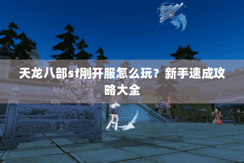 天龙八部sf刚开服怎么玩?新手速成攻略大全 天龙八部sf刚开服怎么玩?新手速成攻略大全