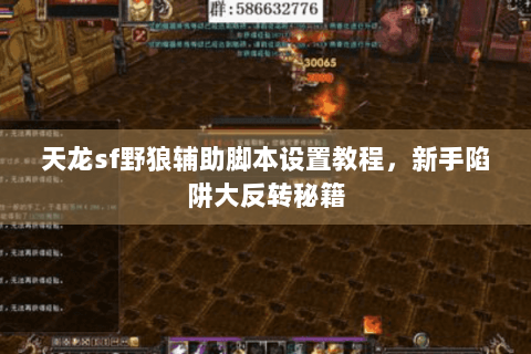 天龙sf野狼辅助脚本设置教程,新手陷阱大反转秘籍 天龙sf野狼辅助脚本设置教程,新手陷阱大反转秘籍