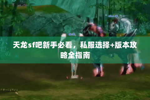 天龙sf吧新手必看,私服选择+版本攻略全指南 天龙sf吧新手必看,私服选择+版本攻略全指南