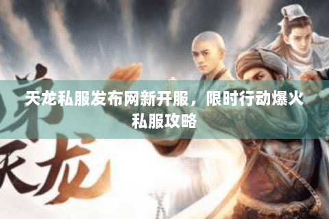 天龙私服发布网新开服，限时行动爆火私服攻略