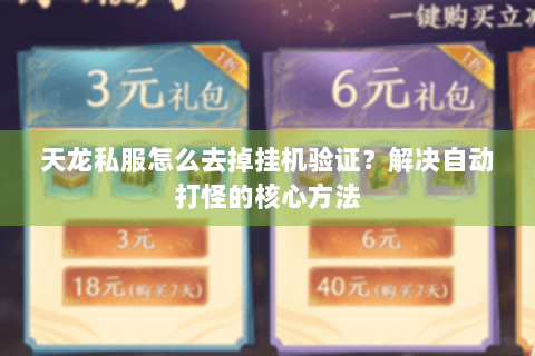 天龙私服怎么去掉挂机验证？解决自动打怪的核心方法