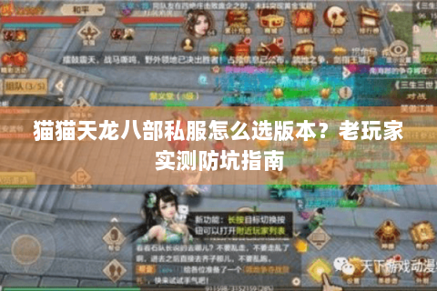 猫猫天龙八部私服怎么选版本?老玩家实测防坑指南 猫猫天龙八部私服怎么选版本?老玩家实测防坑指南